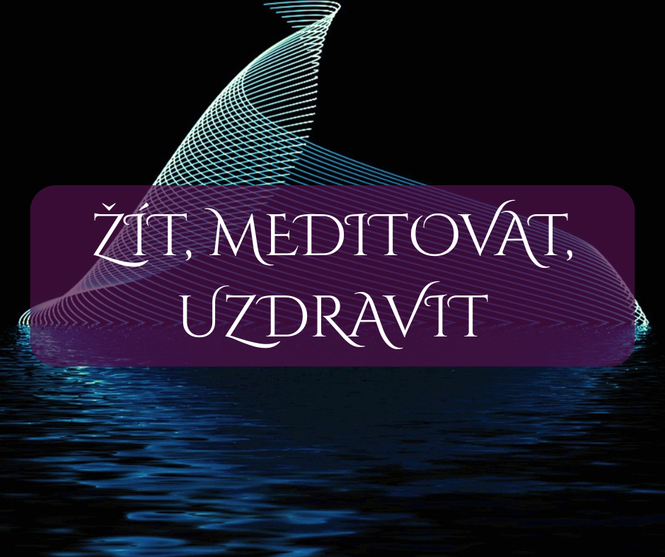 Žít, meditovat, uzdravit online kurz posvátná geometrie sacred geometry fraktály fractals numerologie numerology